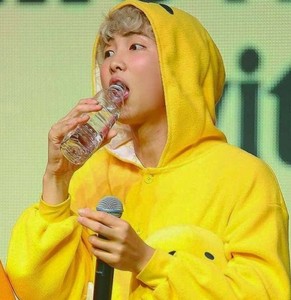 Namjoonsbonsaii profile image