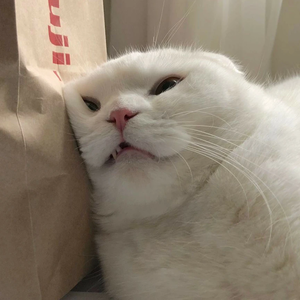 야채크래커 profile image