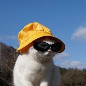 biwi profile image