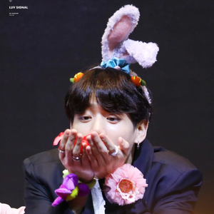 방방탄보라 profile image