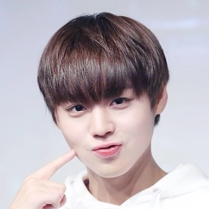 윙투투사랑해 profile image