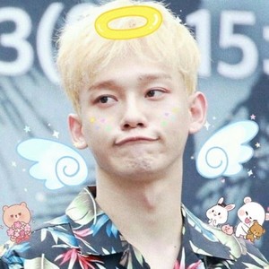 nastaranbnvd profile image