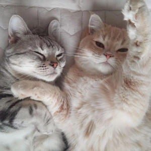 잘나가고싶은작가들 profile image