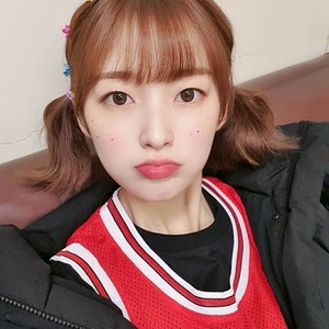 쵸이's profile image