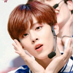 y780486 profile image