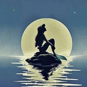 삐소리후통화료가부과됩니다's profile image