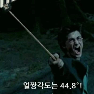 리아ria profile image