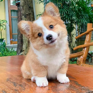 시기 profile image