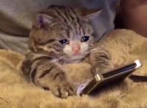 뇽뇽2 profile image