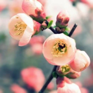 적화 profile image