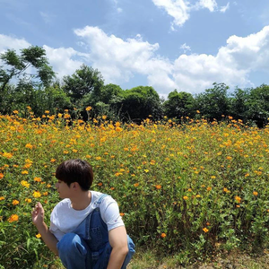 블록버스터's profile image