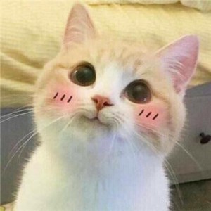 myjupiter's profile image