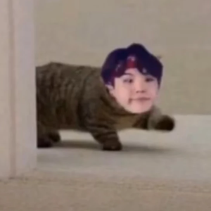 민바라기 profile image