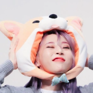 저는무무입니당 profile image