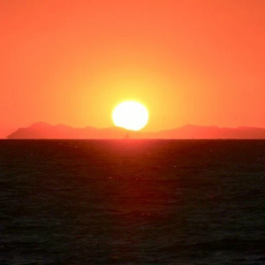 가을바다 profile image