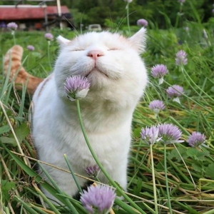 스파클2019 profile image