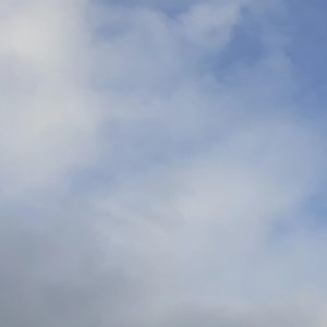 떡찌몽 profile image