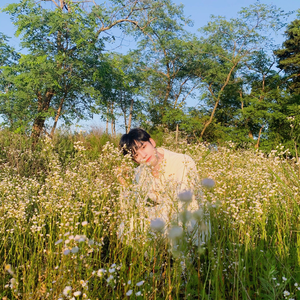 sftonymi profile image