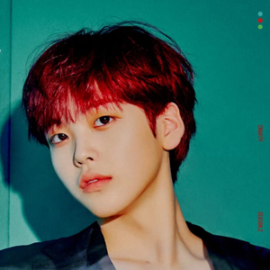 라니a profile image