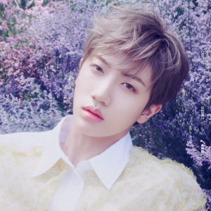 nycy29 profile image