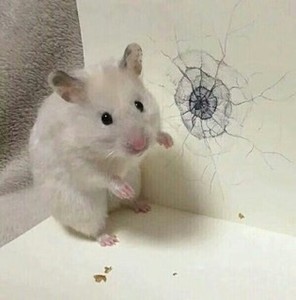 e0c54e50581fb775157f5e060406304c profile image