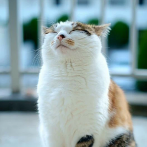 하루3표 profile image