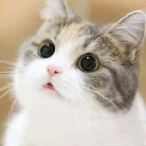 송짱의하루 profile image