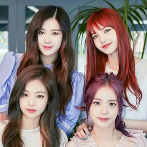 V-blinkhuyluu1610 profile image