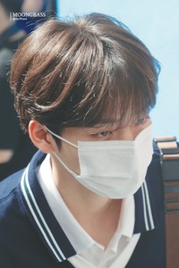 giro4797 profile image