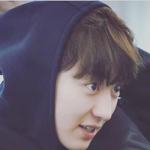 Npcy61 profile image