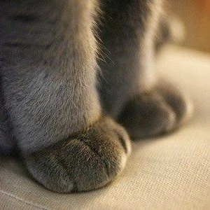 콜드브루 profile image