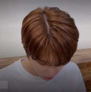 cutiecutie profile image