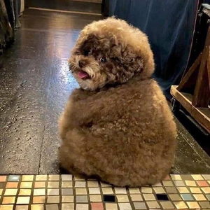 TearsWithAngel profile image