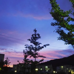 BT읍포에버0613 profile image