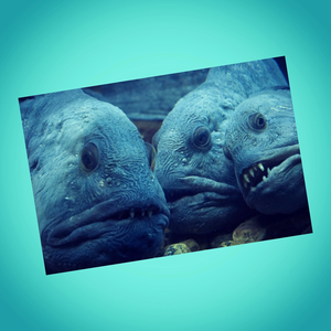 ParanoidAndroid's profile image