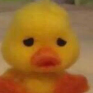 새우는개꿀맛 profile image