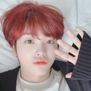 레몬쭌 profile image