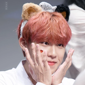 柴柴真 profile image