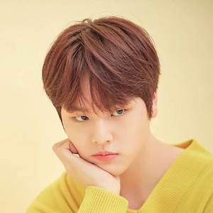Dodohyons profile image