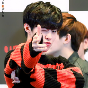 niaorange5 profile image