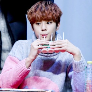 niasom profile image