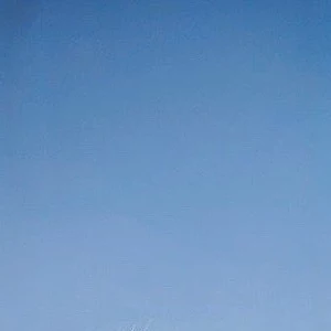 ㅣㅣㅎ호 profile image