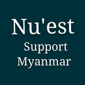 nusupportmm profile image