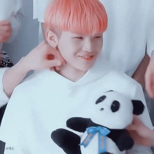 흰둥이보보 profile image