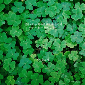 팬플떠남 profile image