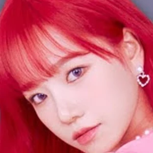 날아라쪼율 profile image