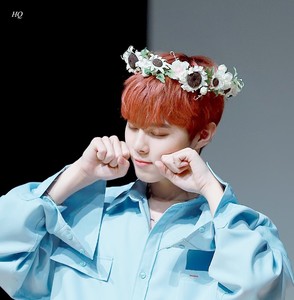 kimwoo4 profile image