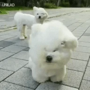 라면 profile image