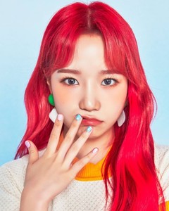 롱율 profile image