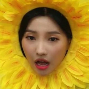 아이돌처돌이에오 profile image